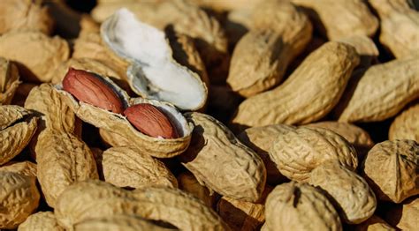 5 Healthy Diet Alternatives para sa May Sakit sa Puso .